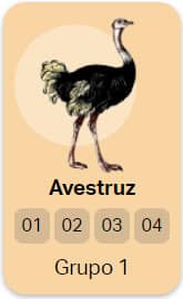Avestruz - Grupo 1 do Jogo do Bicho