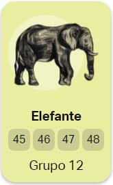 Elefante - Grupo 12 do Jogo do Bicho
