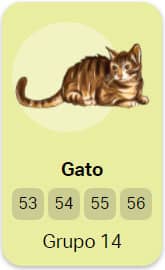 Gato - Grupo 14 do Jogo do Bicho