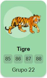 Tigre - Grupo 22 do Jogo do Bicho