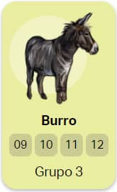 Burro - Grupo 3 do Jogo do Bicho