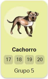 Cachorro - Grupo 5 do Jogo do Bicho