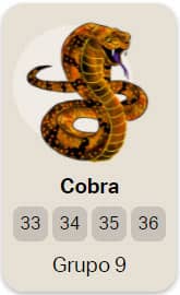 Cobra - Grupo 9 do Jogo do Bicho