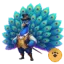 Pavão